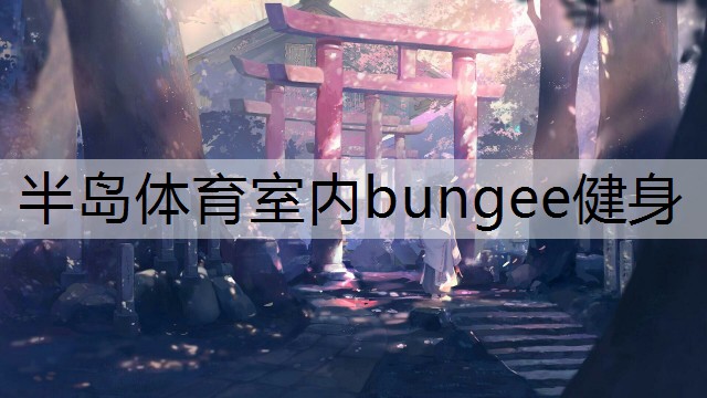 <strong>半岛体育室内bungee健身</strong>