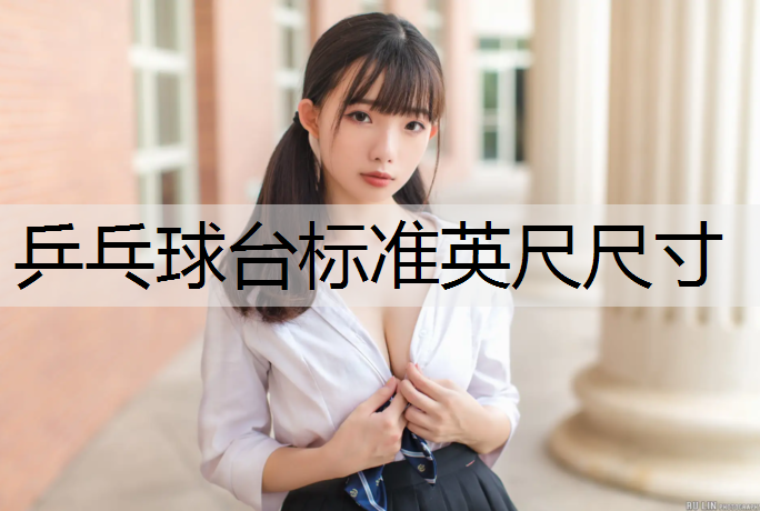 乒乓球台标准英尺尺寸