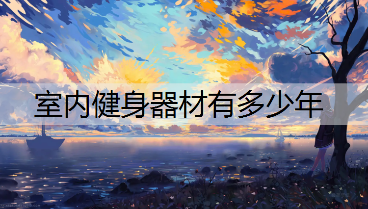 室内健身器材有多少年