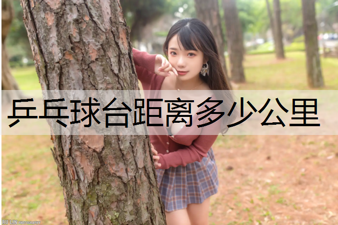 乒乓球台距离多少公里