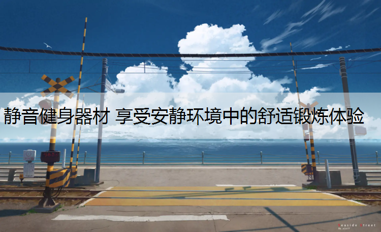 静音健身器材 享受安静环境中的舒适锻炼体验
