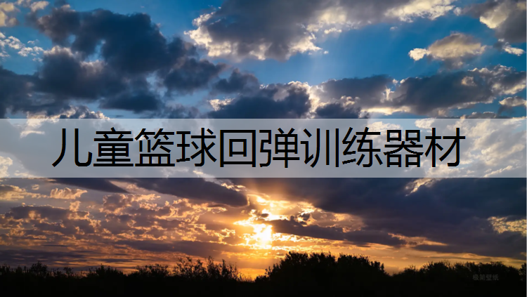 儿童篮球回弹训练器材