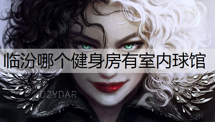 临汾哪个健身房有室内球馆