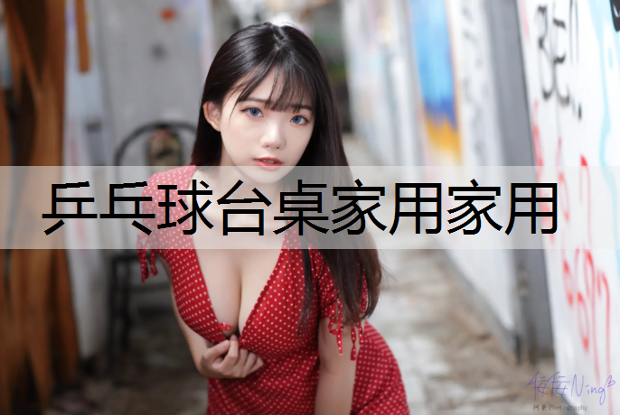 乒乓球台桌家用家用