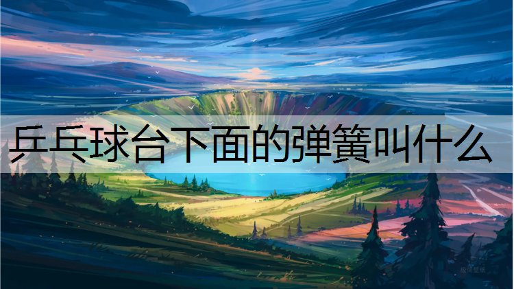 乒乓球台下面的弹簧叫什么
