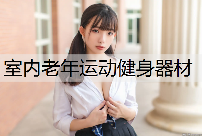 室内老年运动健身器材