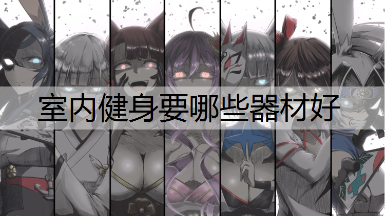 室内健身要哪些器材好
