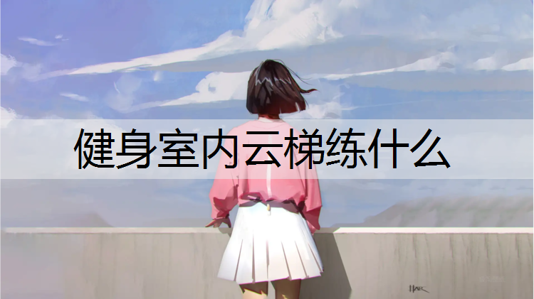 健身室内云梯练什么