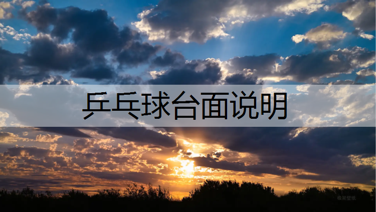 乒乓球台面说明